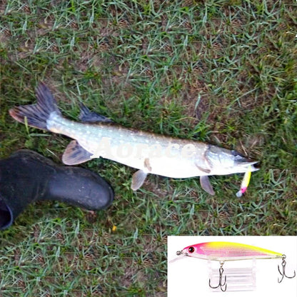 Laser Minnow Fishing Lure